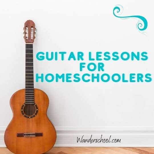 guitar lessons for homeschoolers online nyc new york city