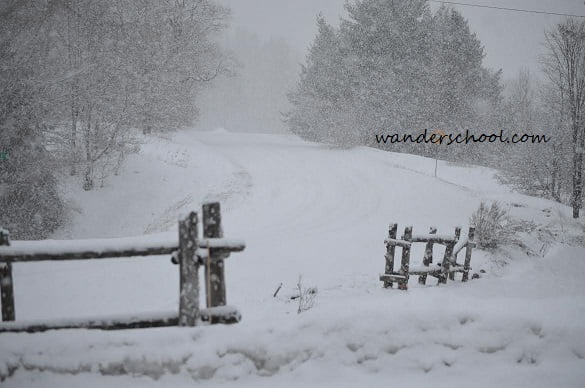 snowday