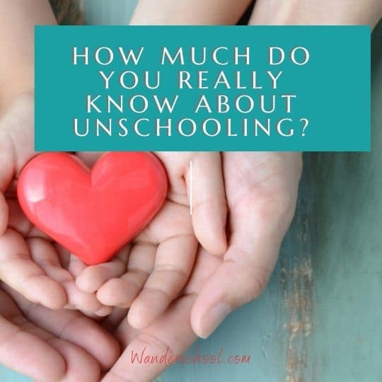 how much do you know about unschooling