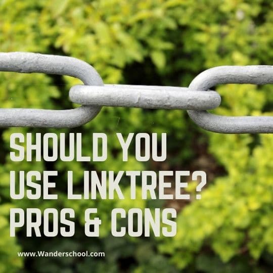 should you use linktree pros and cons instagram