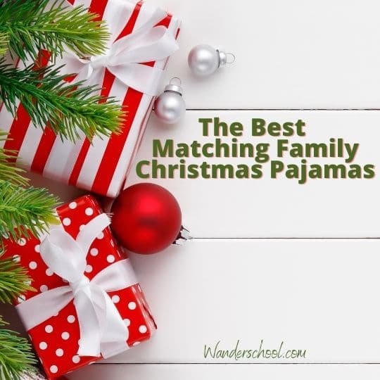 the best matching and coordinated pajamas for families this holiday