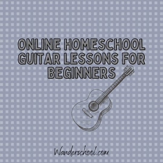 online homeschooler guitar lessons for beginners