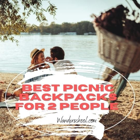 best picnic backpacks for 2 people